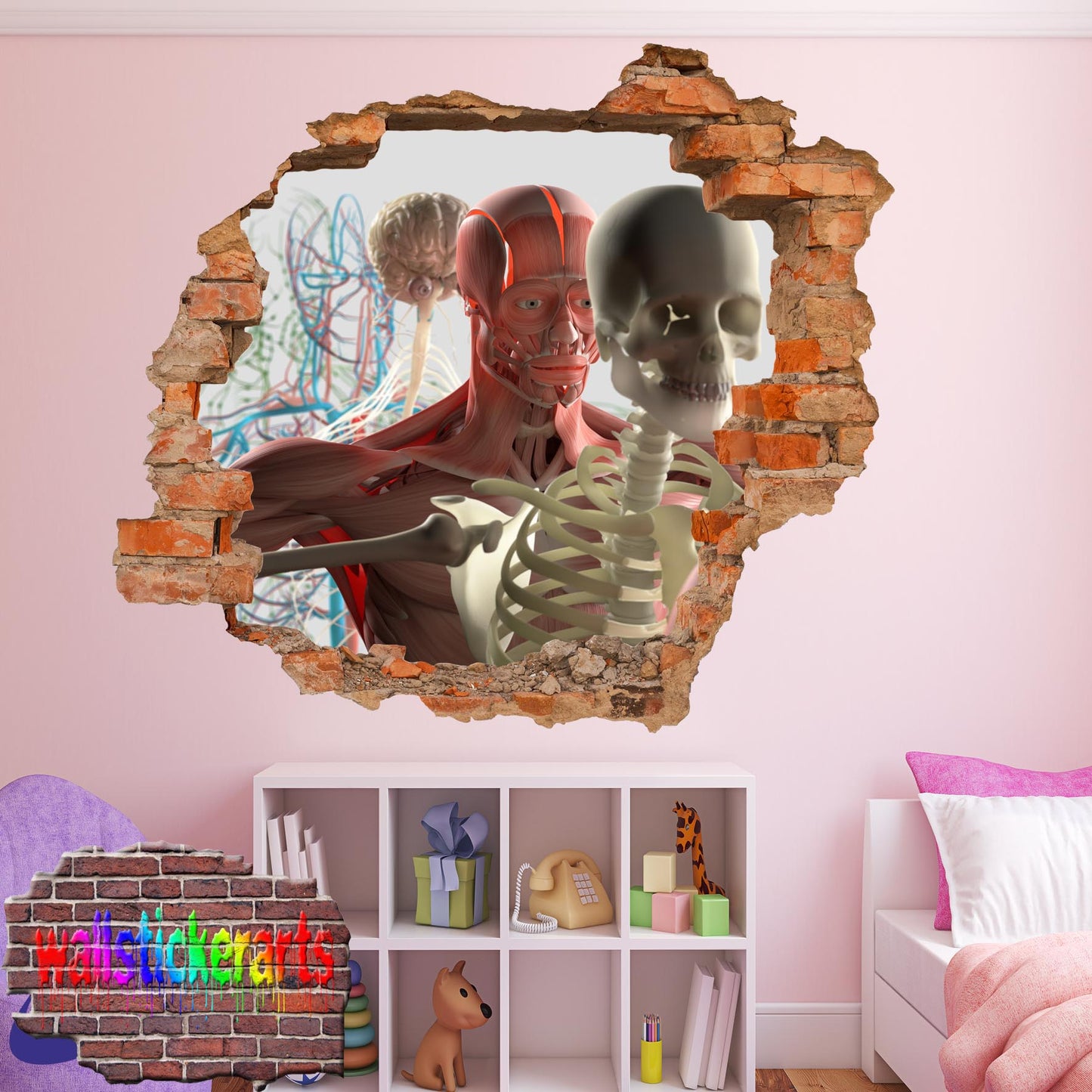 Biology Anatomy Systems Education 3d Art Smashed Effect Wall Sticker Room Office Nursery Shop Decoration Decal Mural XW1