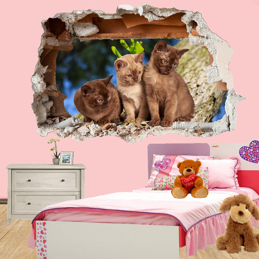 Cute Kittens and Cats wall sticker mural decal