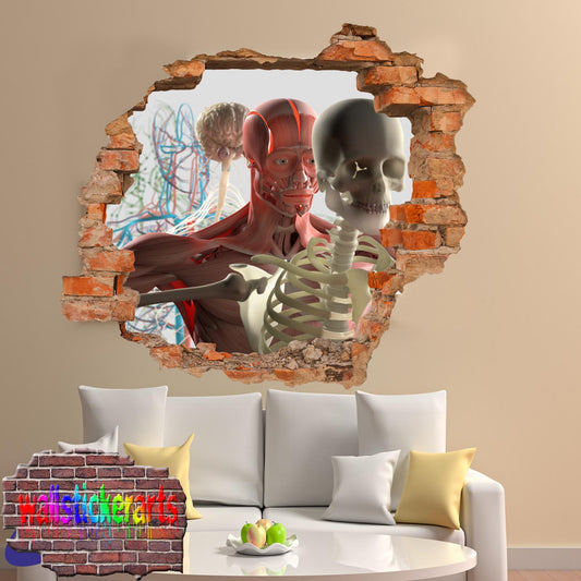 Biology Anatomy Systems Education 3d Art Smashed Effect Wall Sticker Room Office Nursery Shop Decoration Decal Mural XW1