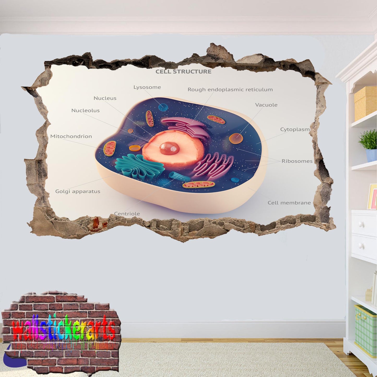 Biology Cell Structure Art 3d Effect Wall Sticker Room Office Nursery Shop Decoration Decal Mural XZ3