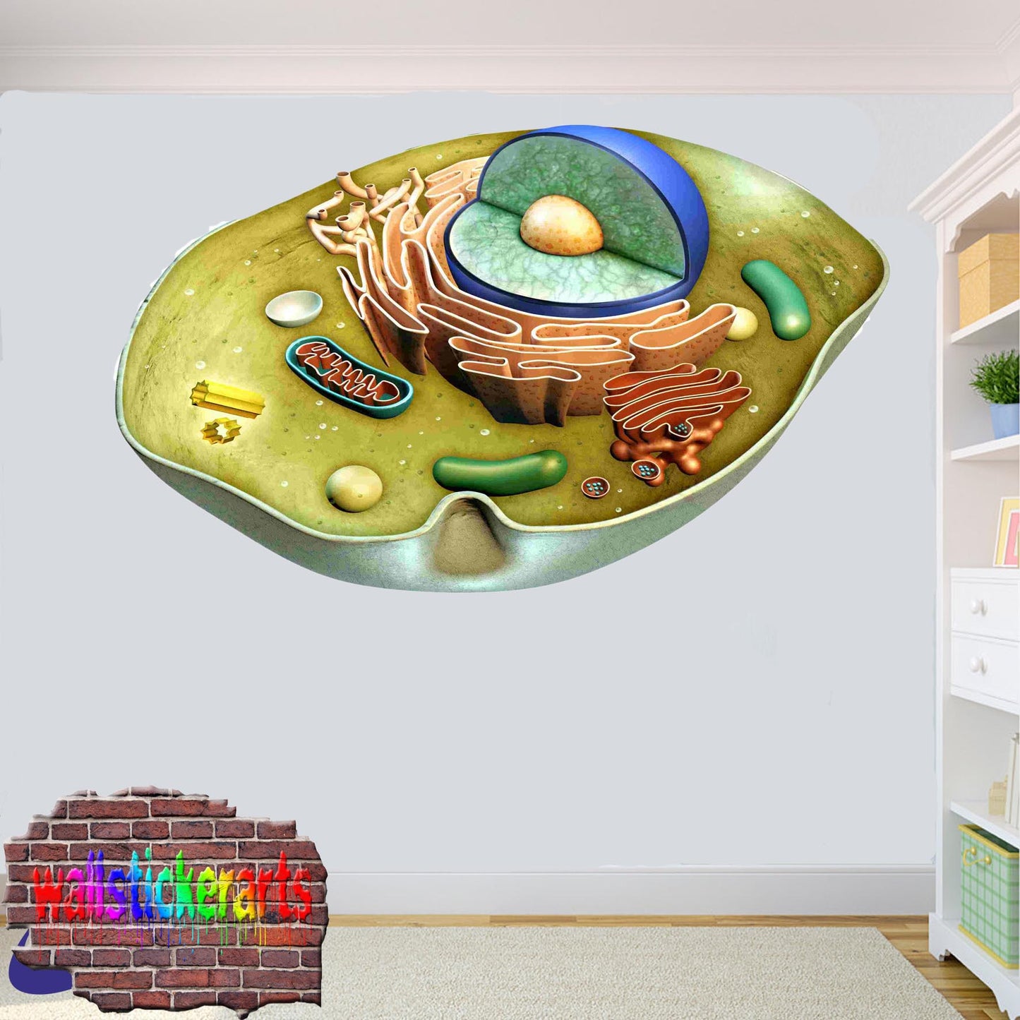 Biology Cell Structure Education 3d Art Smashed Effect Wall Sticker Room Office Nursery Shop Decoration Decal Mural YT1